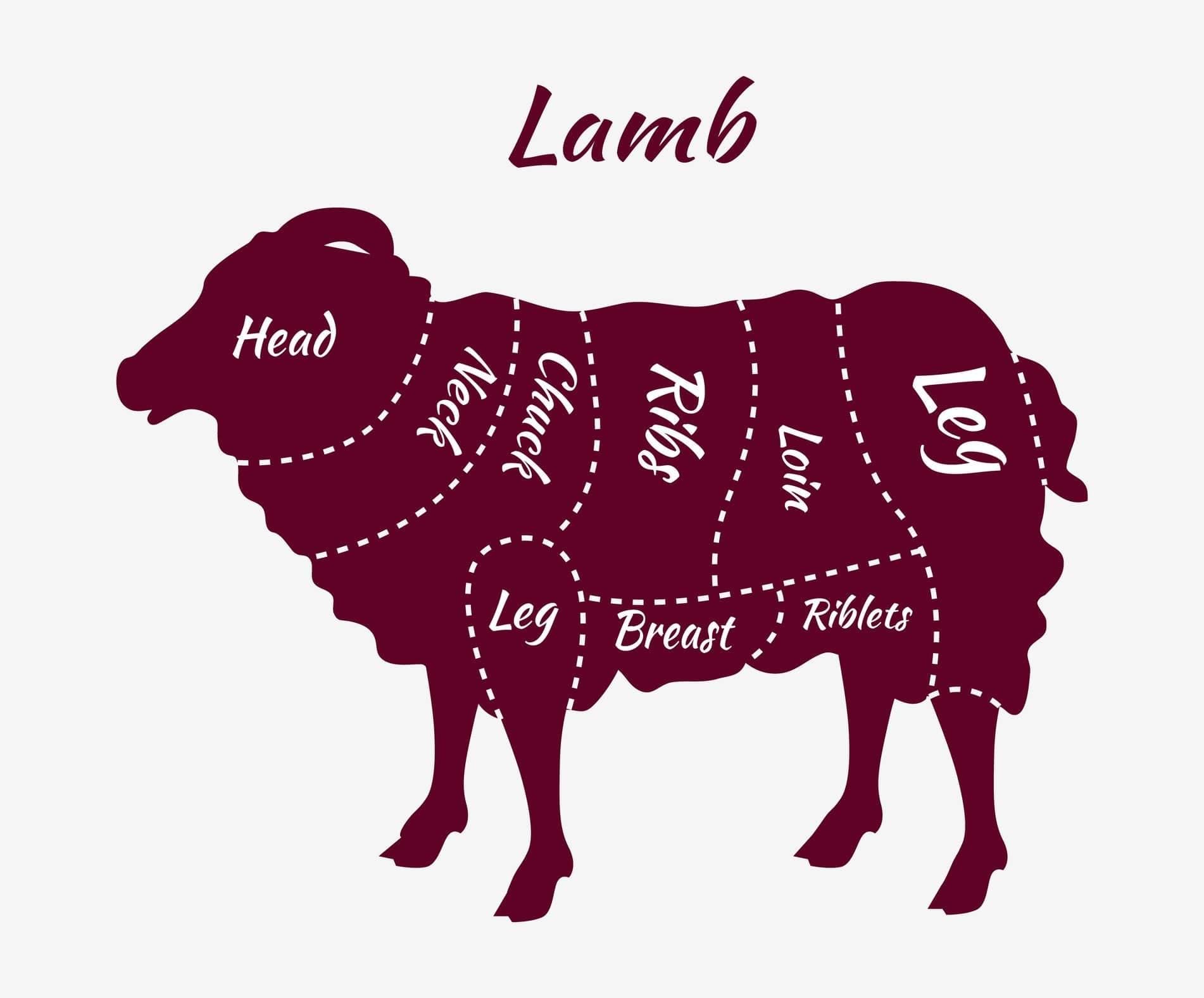 sirlion lamb meat cuts