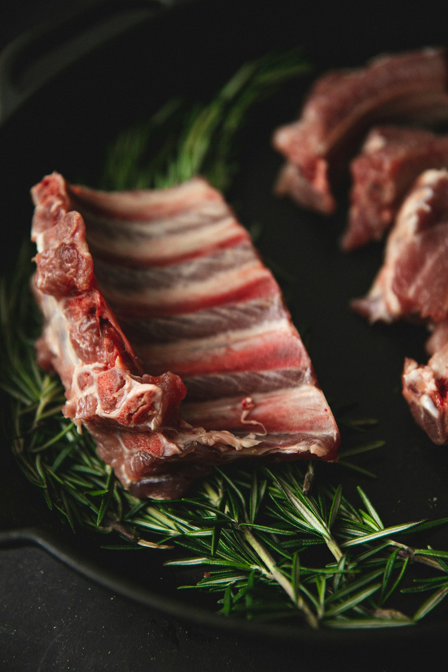 
                  
                    Grass Fed & Grass Finished Organic Beef Back Plate Ribs
                  
                