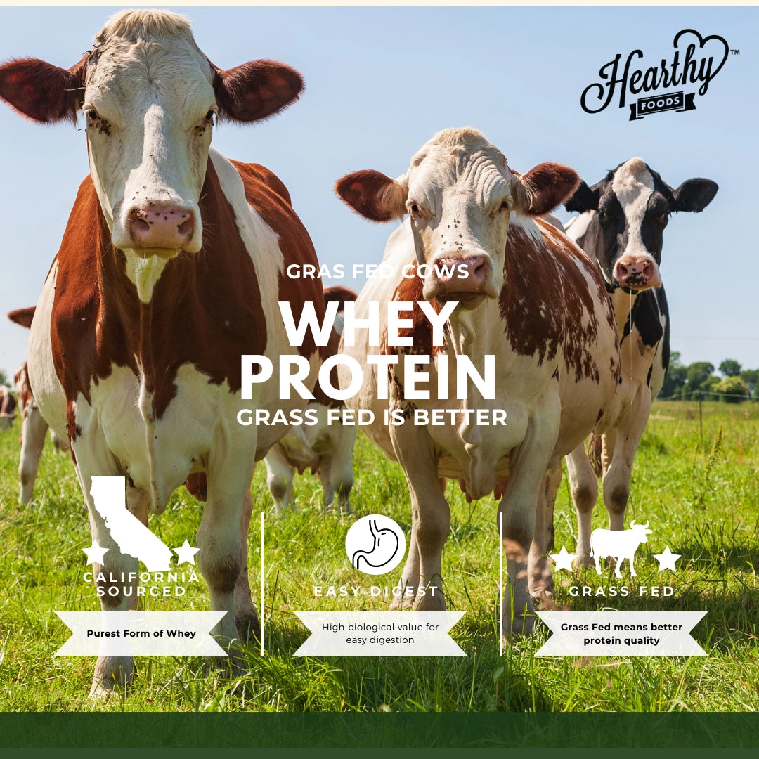 
                  
                    Whey Protein Powder Isolate Unsweetened
                  
                