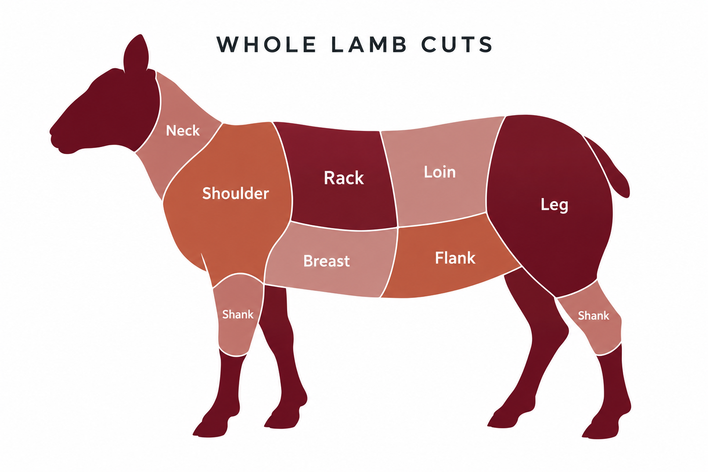 Whole lamb cuts diagram from BillyDoe Meats