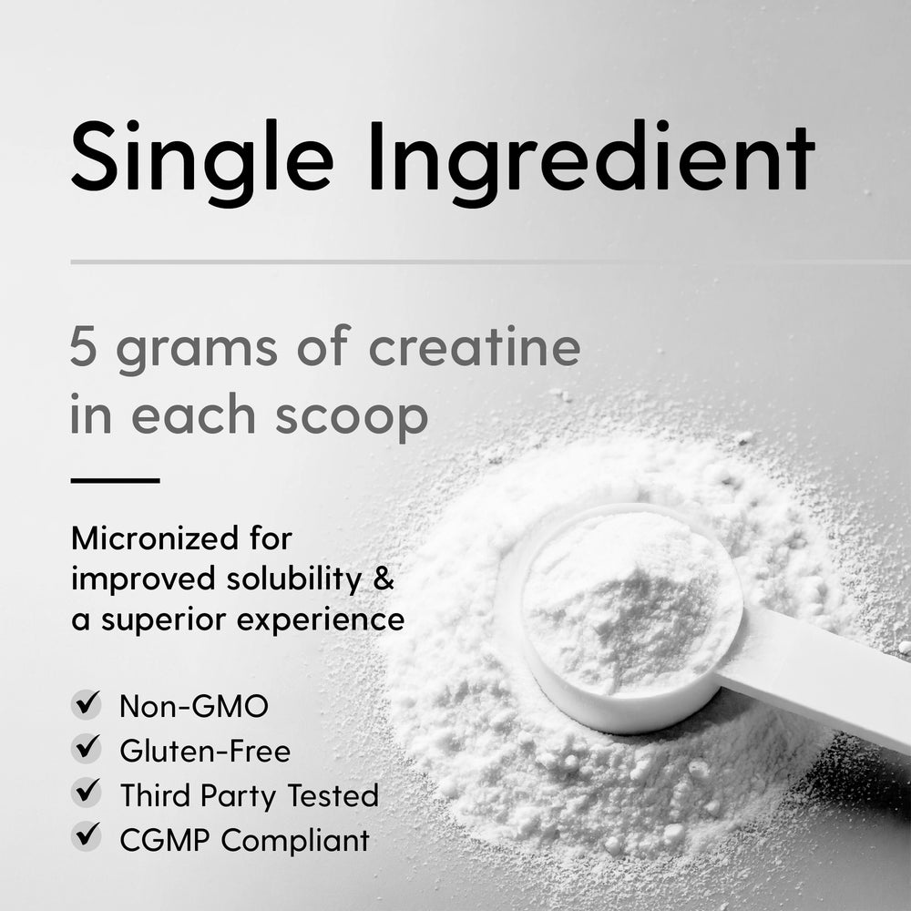 
                  
                    Creatine Monohydrate 5G
                  
                