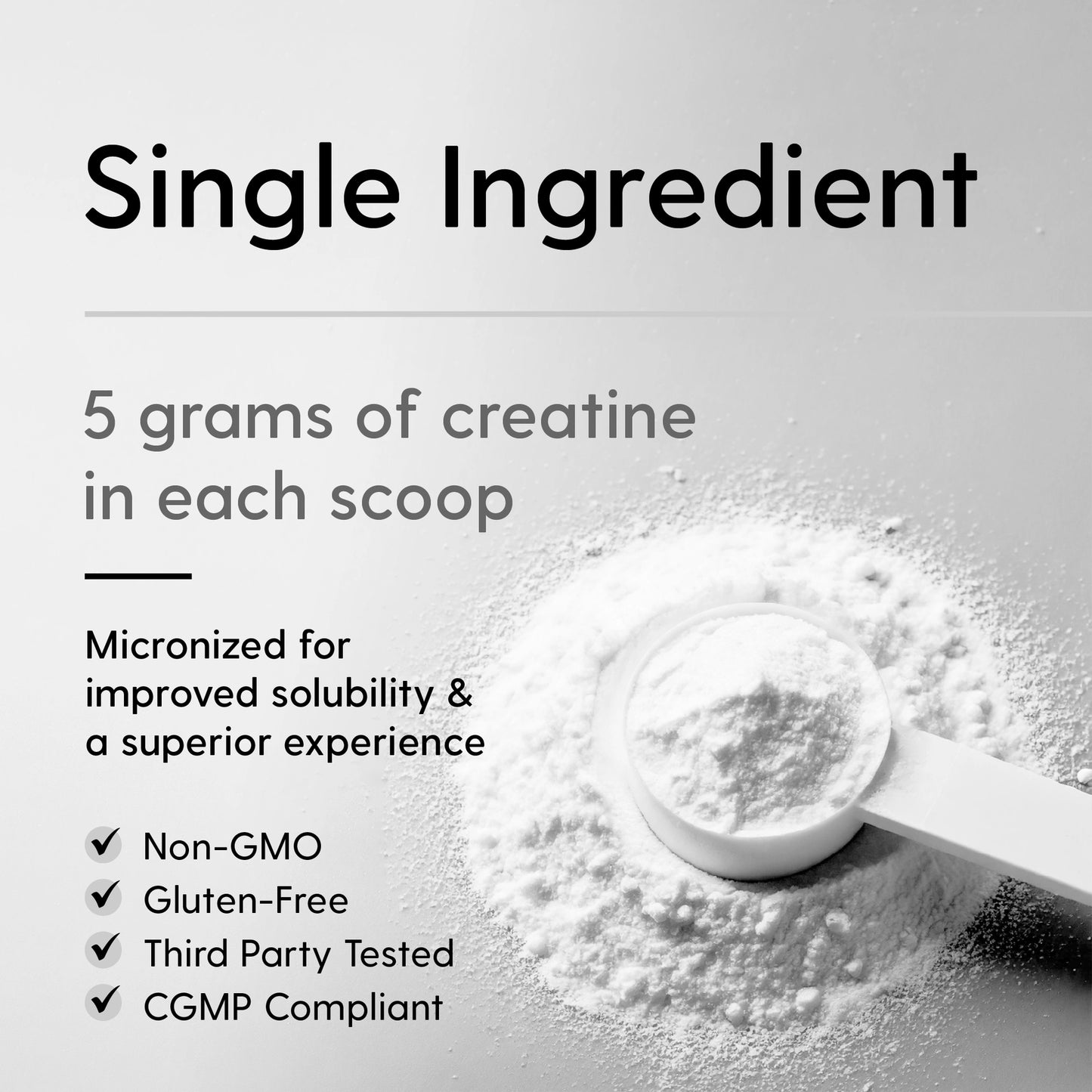 
                  
                    Creatine Monohydrate 5G
                  
                