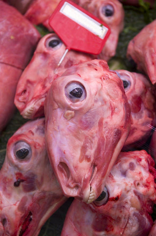 Lamb and Goat Head ~ 2LBS - BillyDoe Meats